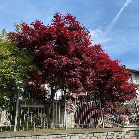 La Casa Di Nina - Traves Villa Pessinetto Eksteriør bilde